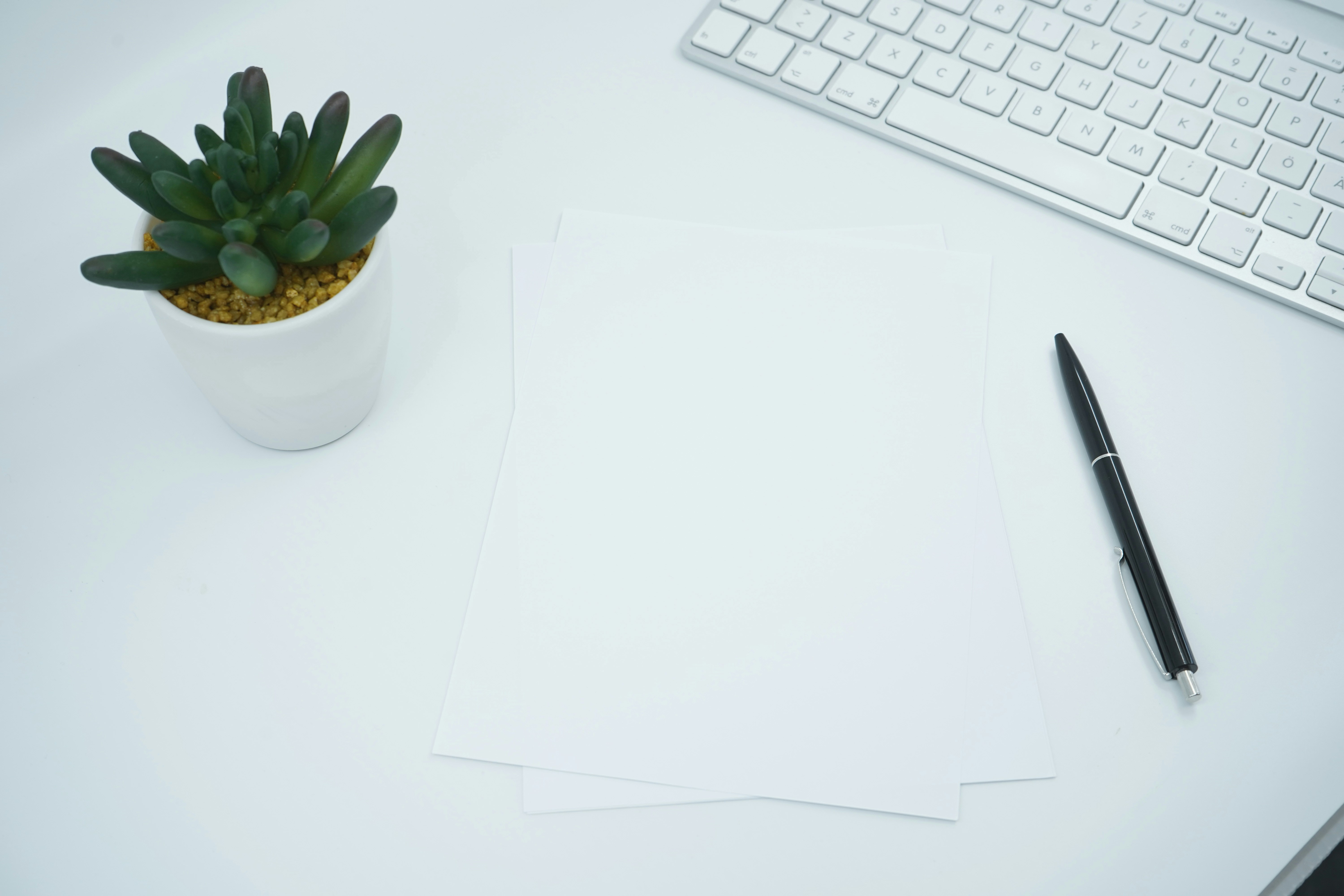 Clean desk with paper, plant, keyboard, and pen